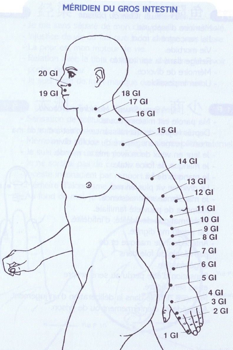 Pour ceux qui veulent en savoir plus sur ces points du corps qui nous parlent de nous -voici nos sources le corps point par point Edition Pictorus - Docteur Gérard ATHIAS