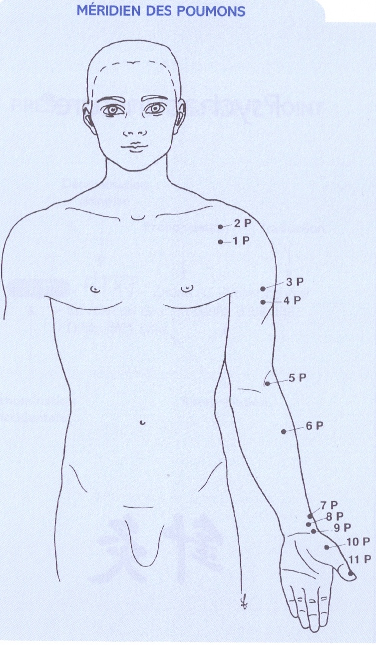Pour ceux qui veulent en savoir plus sur ces points du corps qui nous parlent de nous -voici nos sources le corps point par point Edition Pictorus - Docteur Gérard ATHIAS