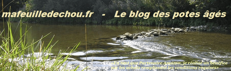 JOURNAL LA CHOUETTE