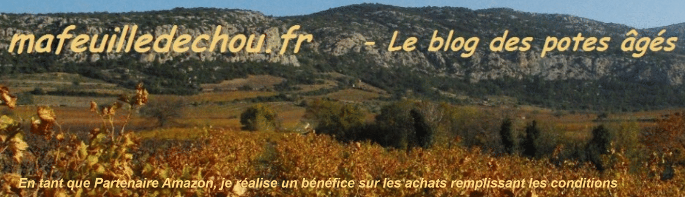 JOURNAL LA CHOUETTE
